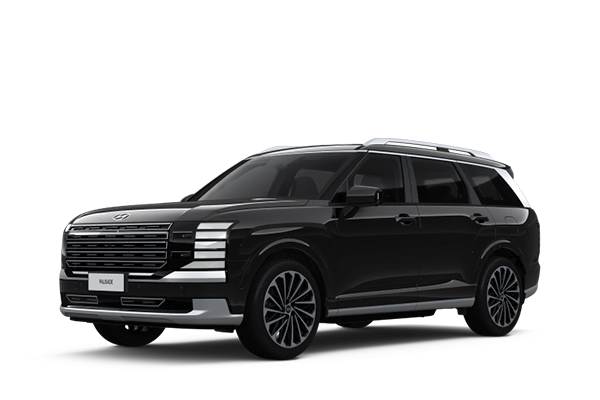 Hyundai palisade dp black